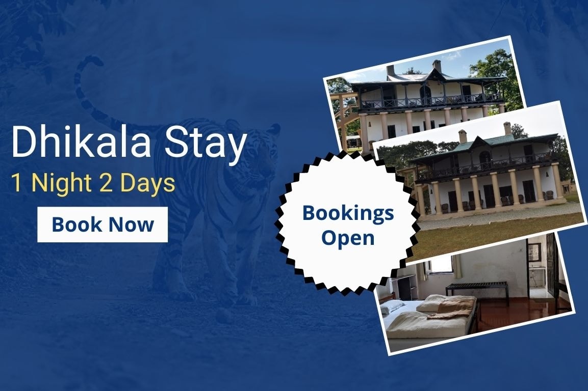 Dhikala Night Stay 