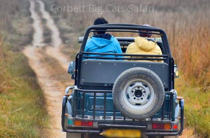 Corbett Jeep Safari