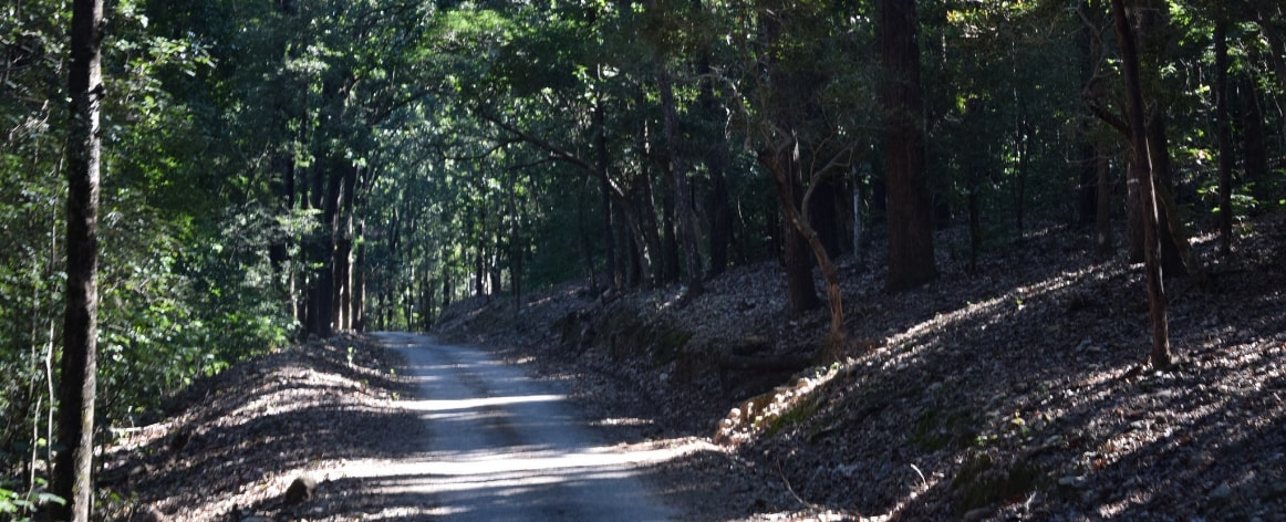 Corbett Tour Packages, Jim Corbett Tour Packages, Corbett Packages