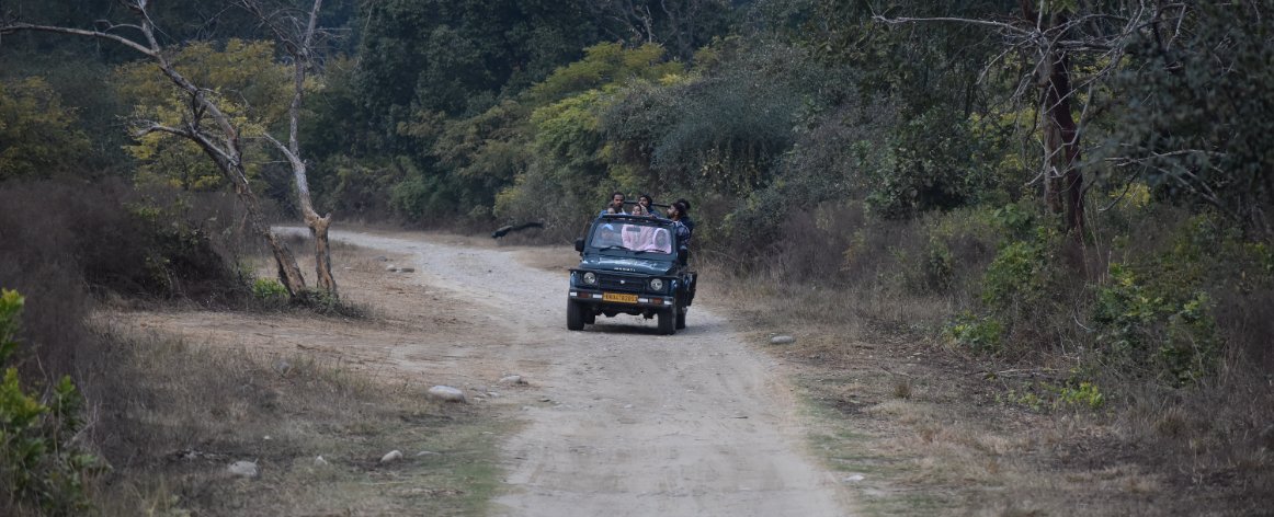 Corbett Jeep Safari Booking. Jeep Safari in Jim Corbett