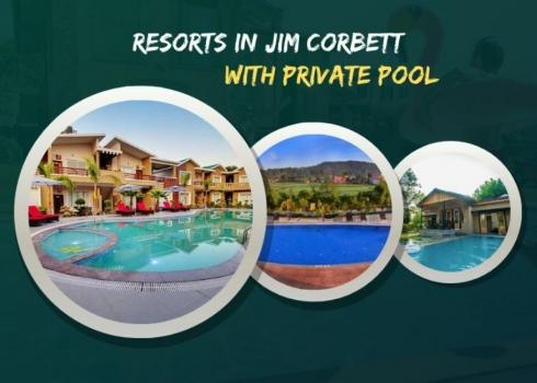 Resorts In Jim Corbett With Private Pool