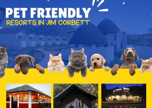 Pet Friendly Resorts In Jim Corbett