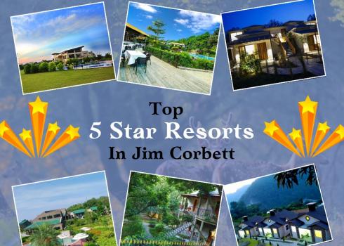 Jim Corbett Top 5 star Resorts