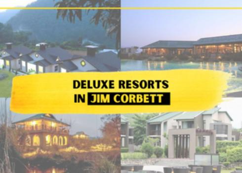 Deluxe Resorts In Jim Corbett