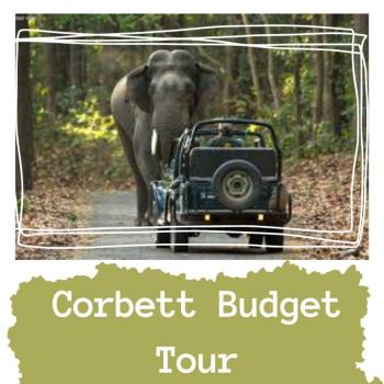 Corbett Budget Tour