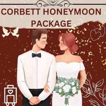 Jim Corbett Luxury Honeymoon Package